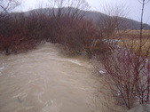 Enlarge photo 316