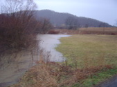 Enlarge photo 315