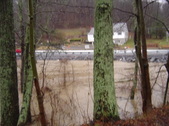 Enlarge photo 311