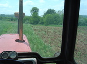 Enlarge photo 342