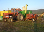 Enlarge photo 348
