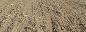 Enlarge photo 196