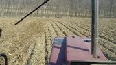 Enlarge photo 57
