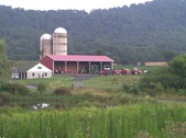 Enlarge photo 168