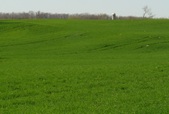 Enlarge photo 51