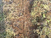 Enlarge photo 139