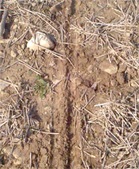 Enlarge photo 123