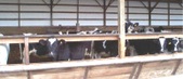 Enlarge photo 112