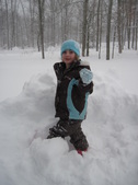 Enlarge photo 335