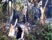 Enlarge photo 86