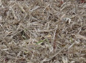 Enlarge photo 221