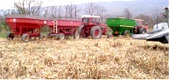 Enlarge photo 102