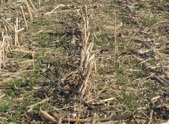 Enlarge photo 229
