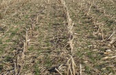 Enlarge photo 230
