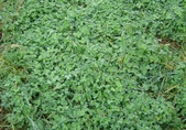 Enlarge photo 224