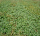 Enlarge photo 225