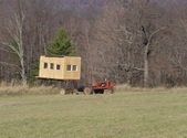 Enlarge photo 231