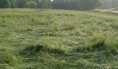 Enlarge photo 199