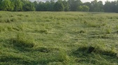 Enlarge photo 200