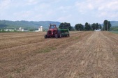 Enlarge photo 255