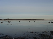 Enlarge photo 240