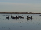 Enlarge photo 241