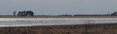 Enlarge photo 243