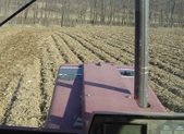 Enlarge photo 198