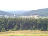 Enlarge photo 169