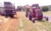 Enlarge photo 114