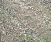 Enlarge photo 121
