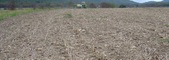 Enlarge photo 222