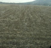 Enlarge photo 194