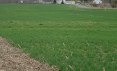 Enlarge photo 213