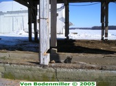 Enlarge photo 22