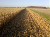 Enlarge photo 50