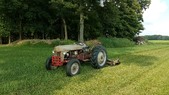 Enlarge photo 246