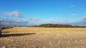 Enlarge photo 219