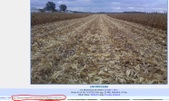 Enlarge photo 129