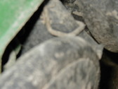 Enlarge photo 238