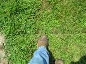 Enlarge photo 33
