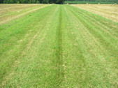 Enlarge photo 34