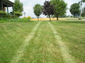 Enlarge photo 39