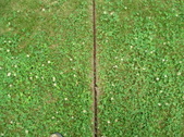 Enlarge photo 40