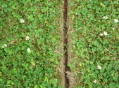 Enlarge photo 41