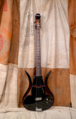 Ampeg Devil Bass 1966 Sunburst
