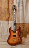 Argus Squeeze 1980 Sunburst