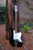 charvel surfcaster