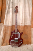Coral Sitar 1960s