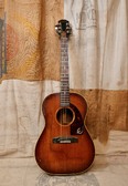 Epiphone Cortez 1963 Sunburst 3